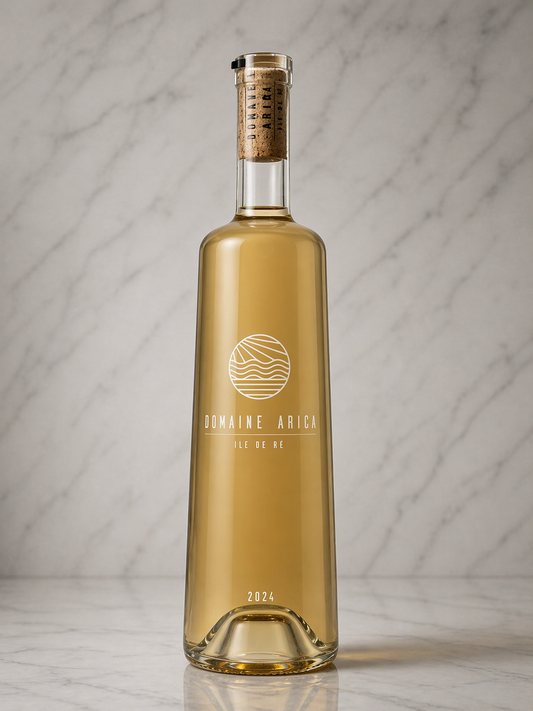 Arica Rosé 2024 – Domaine Arica